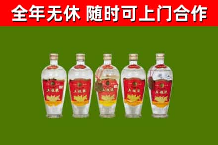 桐乡市烟酒回收公斤五粮液.jpg